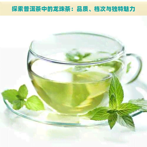 探索普洱茶中的龙珠茶：品质、档次与独特魅力