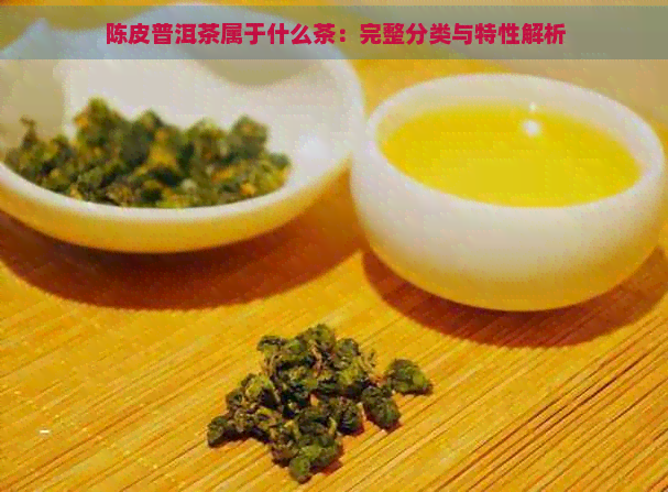 陈皮普洱茶属于什么茶：完整分类与特性解析