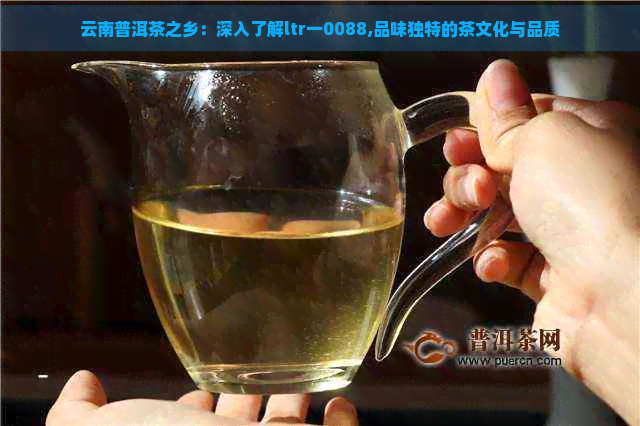 云南普洱茶之乡：深入了解ltr一0088,品味独特的茶文化与品质