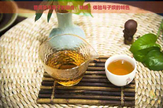 普洱茶与蒿子的融合：味道、体验与子坝的特色