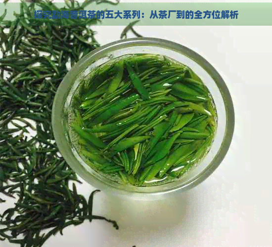 探究勐海普洱茶的五大系列：从茶厂到的全方位解析