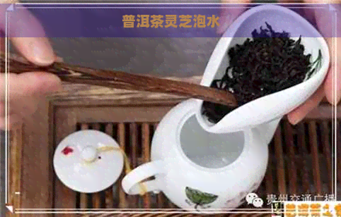 普洱茶灵芝泡水