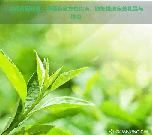 从品茗到收藏：普洱茶全方位指南，助您挑选完美礼品与投资