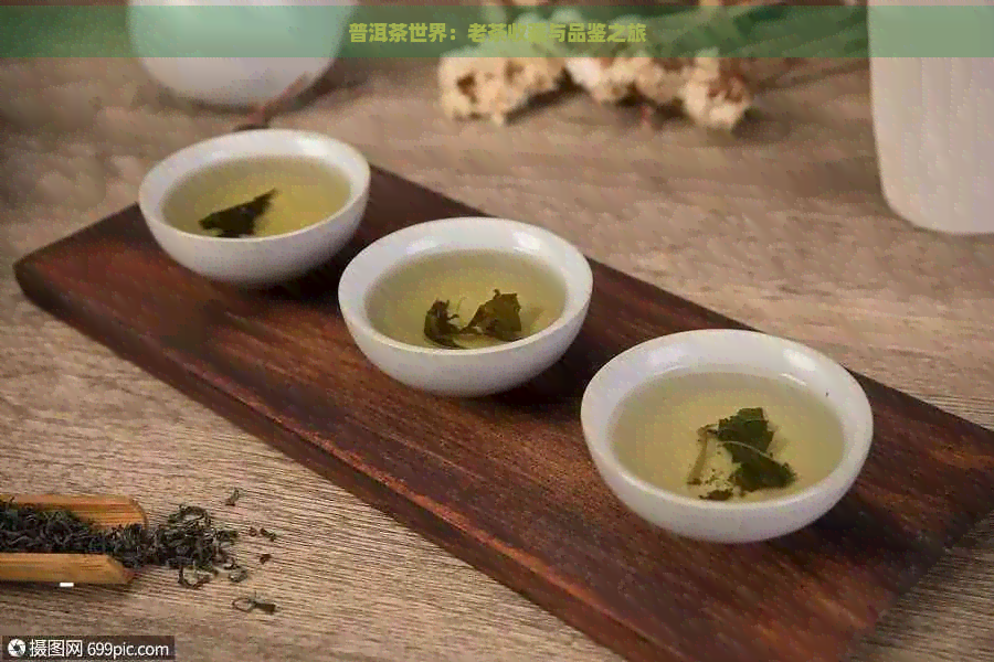 普洱茶世界：老茶收藏与品鉴之旅