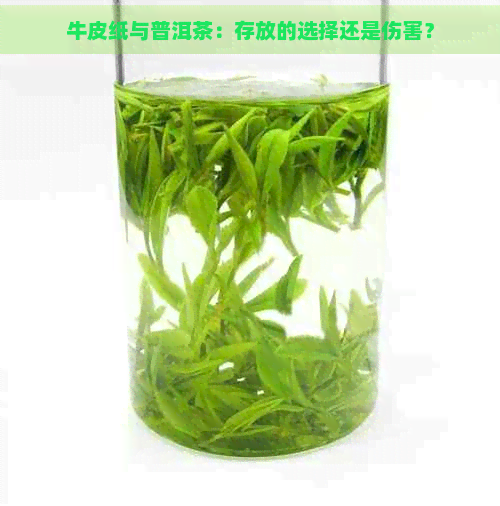 牛皮纸与普洱茶：存放的选择还是伤害？