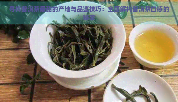 寻找普洱茶最甜的产地与品鉴技巧：全面解构普洱茶口感的秘密