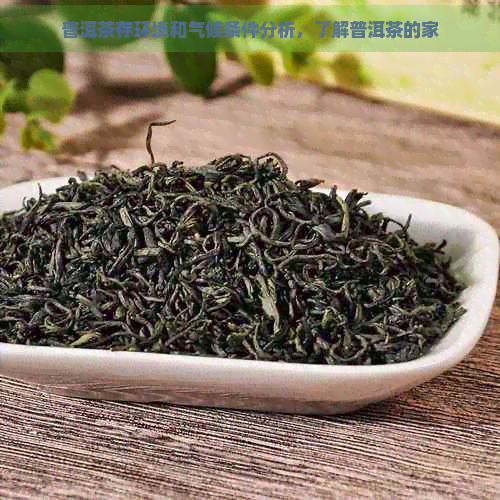 普洱茶存环境和气候条件分析，了解普洱茶的家