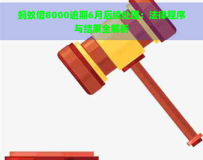 蚂蚁借8000逾期6月后续处理：法律程序与结果全解析