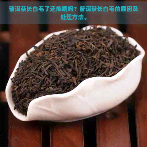 普洱茶长白毛了还能喝吗？普洱茶长白毛的原因及处理方法。