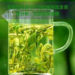 云南普洱茶叶产地价格与批发货源分析：红茶促销策略