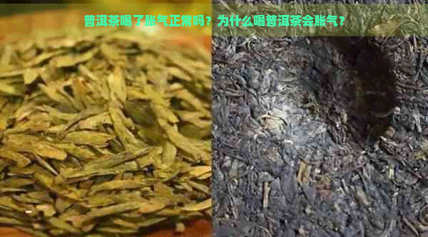 普洱茶喝了胀气正常吗？为什么喝普洱茶会胀气？