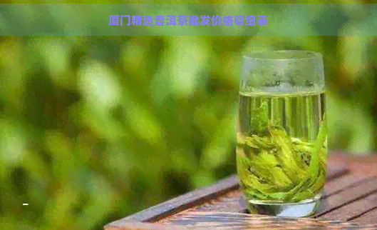 厦门精选普洱茶批发价格明细表