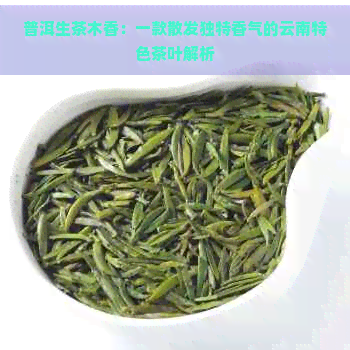 普洱生茶木香：一款散发独特香气的云南特色茶叶解析