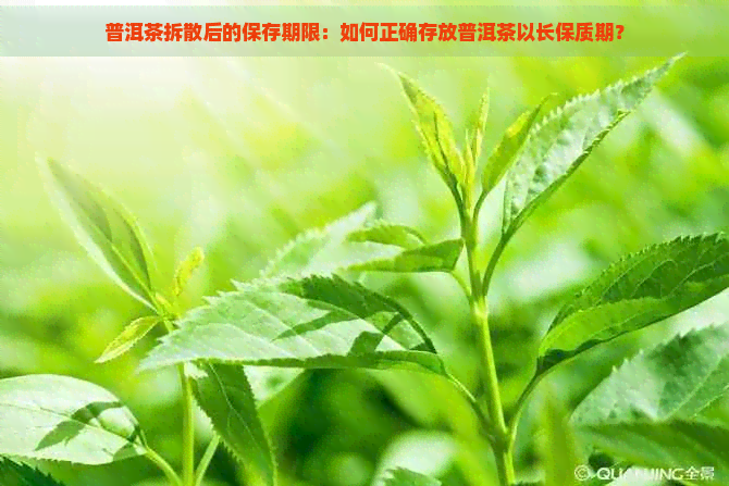 普洱茶拆散后的保存期限：如何正确存放普洱茶以长保质期？