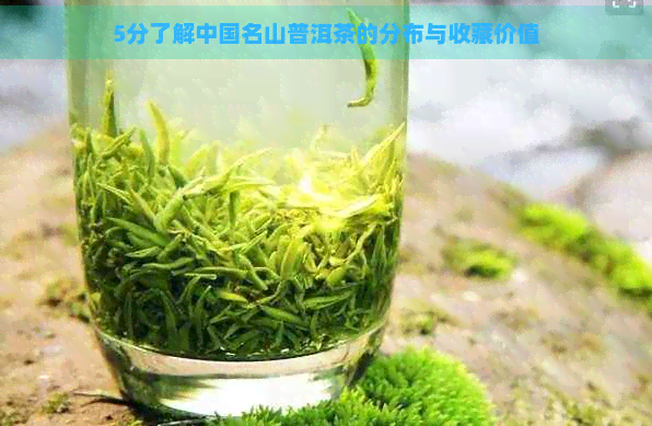 5分了解中国名山普洱茶的分布与收藏价值