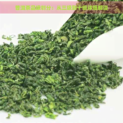 普洱茶品级划分：从三级到十级详细解读