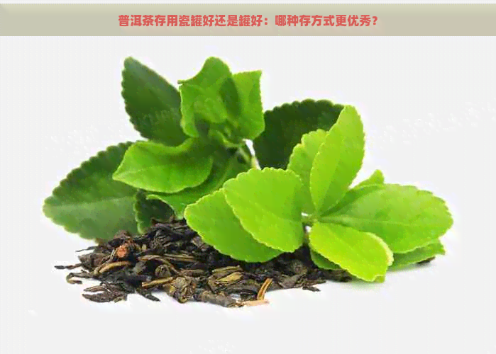 普洱茶存用瓷罐好还是罐好：哪种存方式更优秀？