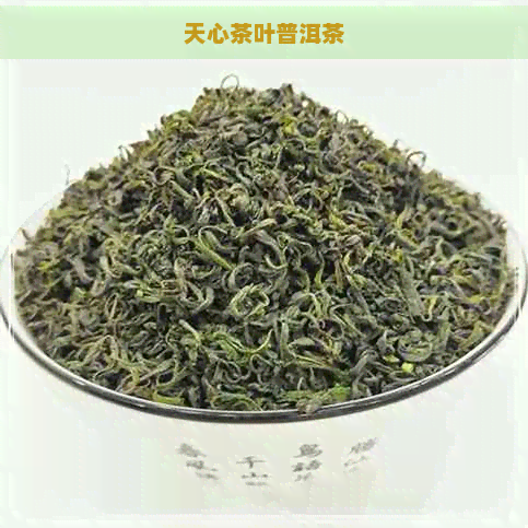 天心茶叶普洱茶