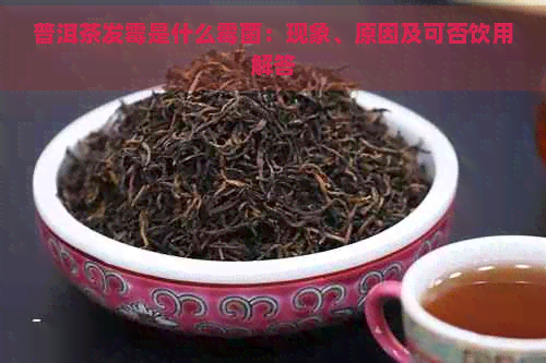 普洱茶发霉是什么霉菌：现象、原因及可否饮用解答