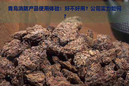 青鸟消防产品使用体验：好不好用？公司实力如何？