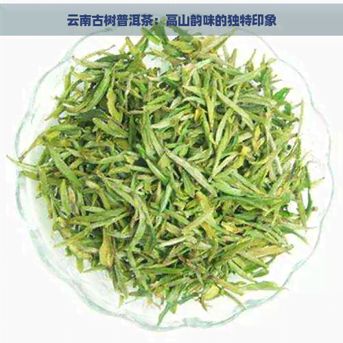 云南古树普洱茶：高山韵味的独特印象