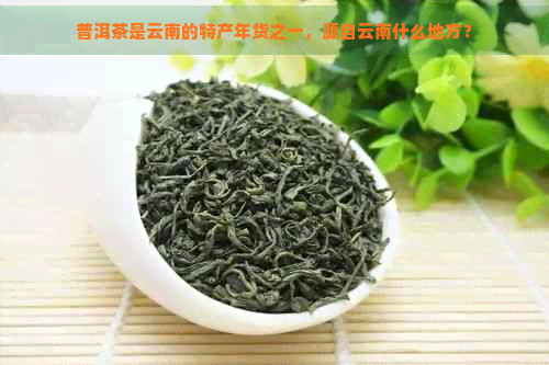 普洱茶是云南的特产年货之一，源自云南什么地方？