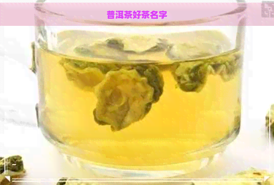 普洱茶好茶名字