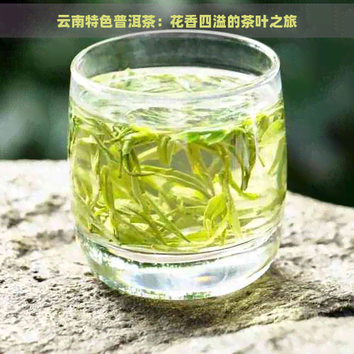 云南特色普洱茶：花香四溢的茶叶之旅