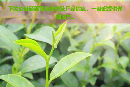 下关沱茶硕果熟茶价格及厂家信息，一茶吧提供详细解答。