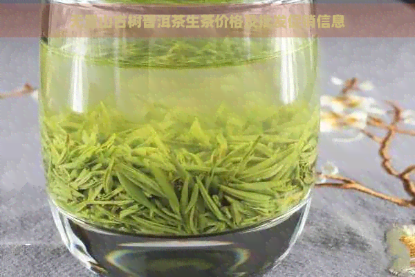 无量山古树普洱茶生茶价格及批发促销信息