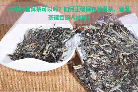 冰柜存普洱茶可以吗？如何正确保存普洱茶，普洱茶能否放入冰柜？