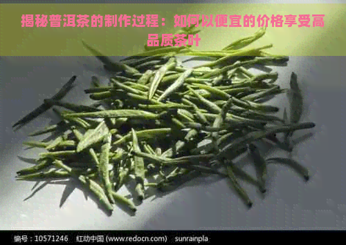 揭秘普洱茶的制作过程：如何以便宜的价格享受高品质茶叶