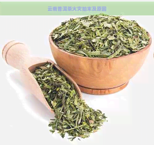 云南普洱茶火灾始末及原因