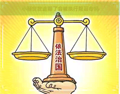 小额贷款逾期了会被执行限高令吗