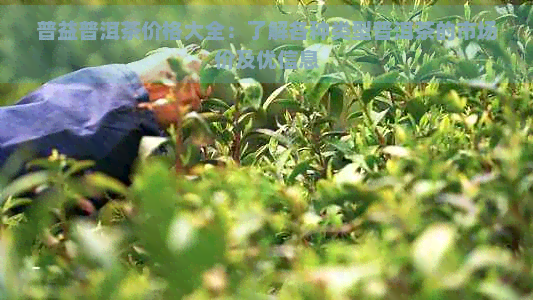 普益普洱茶价格大全：了解各种类型普洱茶的市场价及优信息