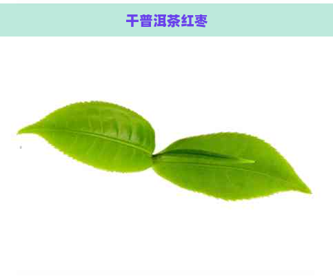 干普洱茶红枣