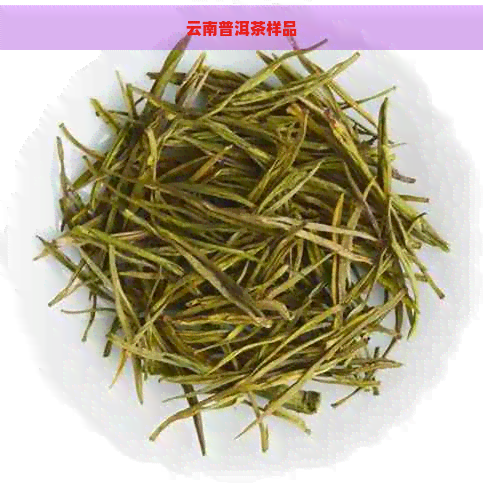 云南普洱茶样品