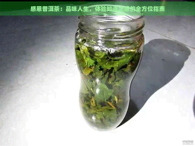 感恩普洱茶：品味人生，体验知遇之恩的全方位指南