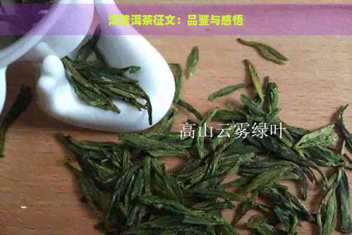 洱普洱茶征文：品鉴与感悟