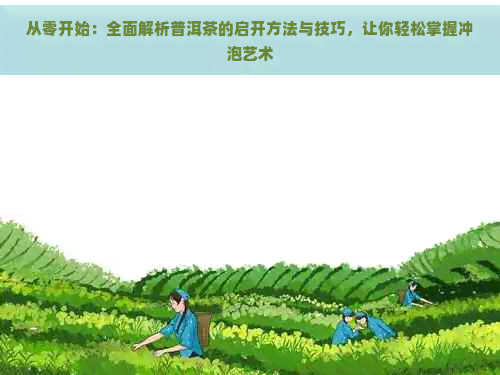 从零开始：全面解析普洱茶的启开方法与技巧，让你轻松掌握冲泡艺术