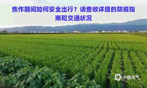 焦作期间如何安全出行？请查收详细的防疫指南和交通状况