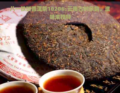 八一铁饼普洱茶10206:云南古树茶韵，滋味浓独特