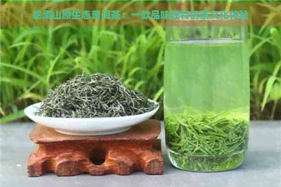 龙潭山原生态普洱茶：一款品味独特的茶文化体验