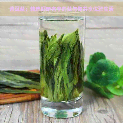 普洱茶：精选好听名字的茶与你共享优雅生活