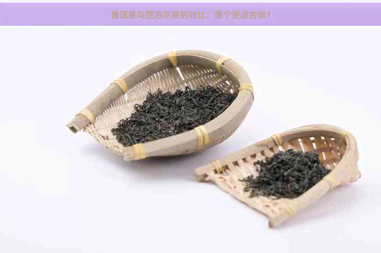 普洱茶与尼泊尔茶的对比：哪个更适合你？