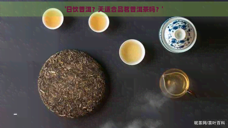 '日饮普洱？天适合品茗普洱茶吗？'