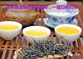 陈年普洱茶的独特韵味：一场口感的宴