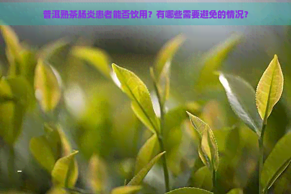 普洱熟茶肠炎患者能否饮用？有哪些需要避免的情况？