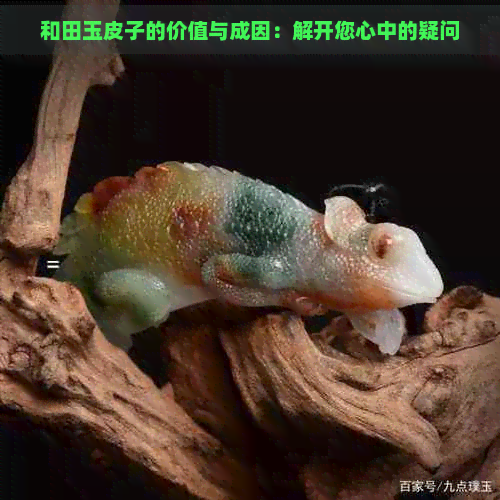 和田玉皮子的价值与成因：解开您心中的疑问