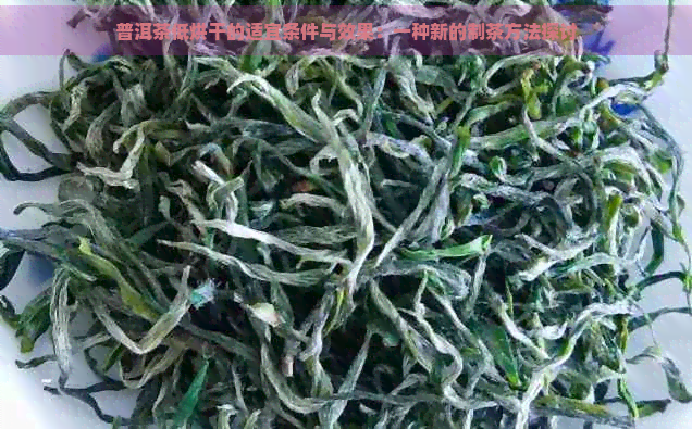 普洱茶低烘干的适宜条件与效果：一种新的制茶方法探讨